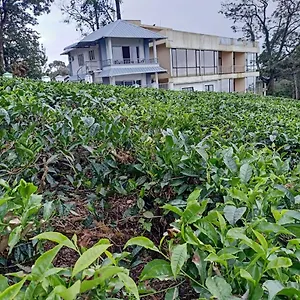 the-nirvana-resort-munnar.hotels-munnar.com/